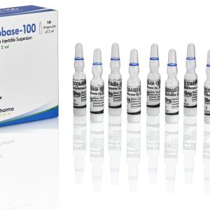 Testobase